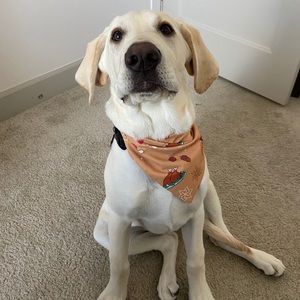 Meet your Posher, Kaleb